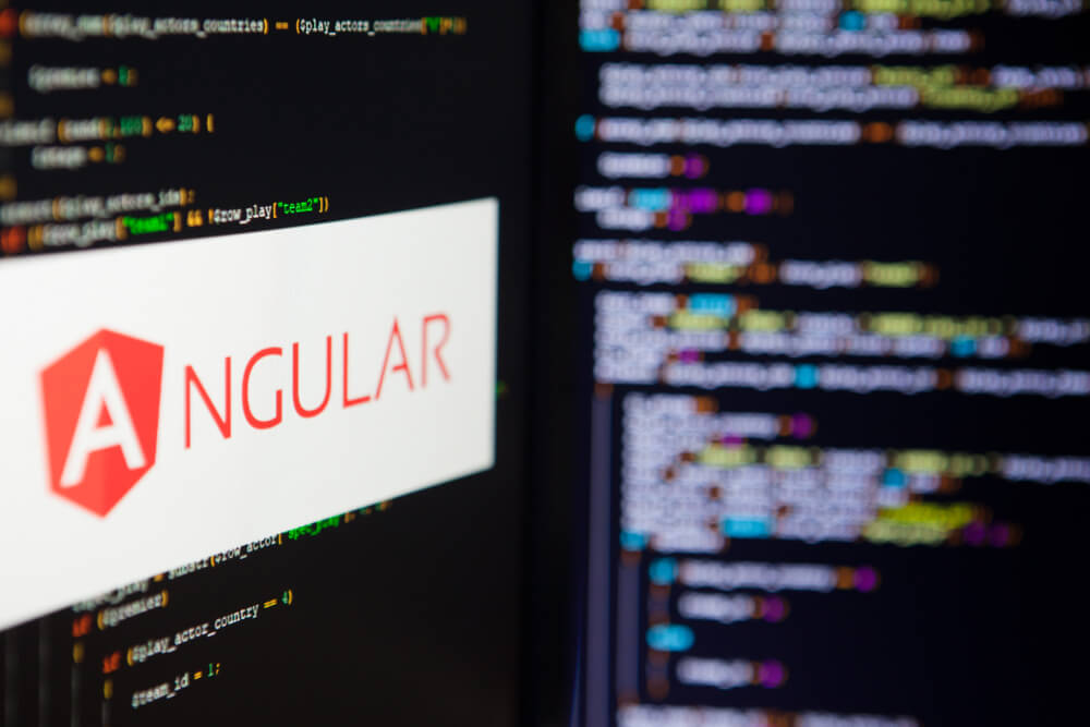 angular developer